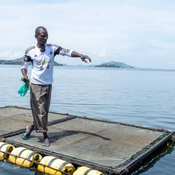 Employee of a WIDU participant from Kenya feeds fish in a aquaculture