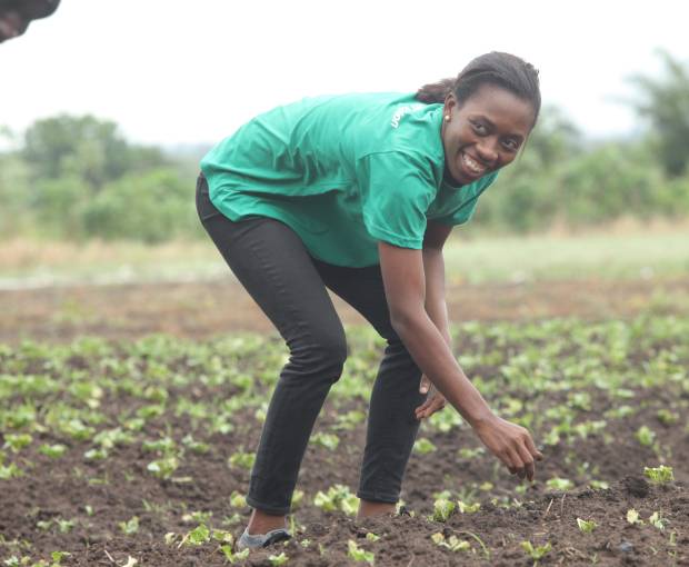 Farmhub Limited