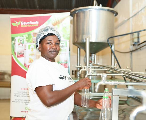 GAVO food production