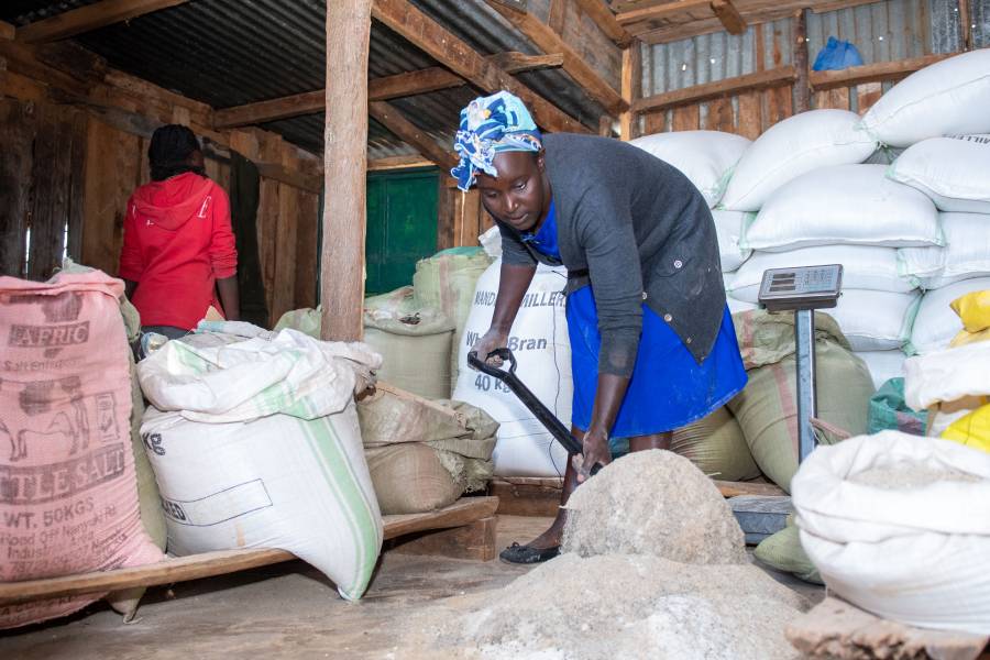 Entrepreneur shovels self-produced animal feed into bags