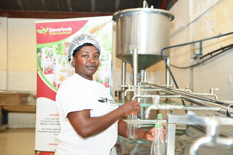 GAVO food production