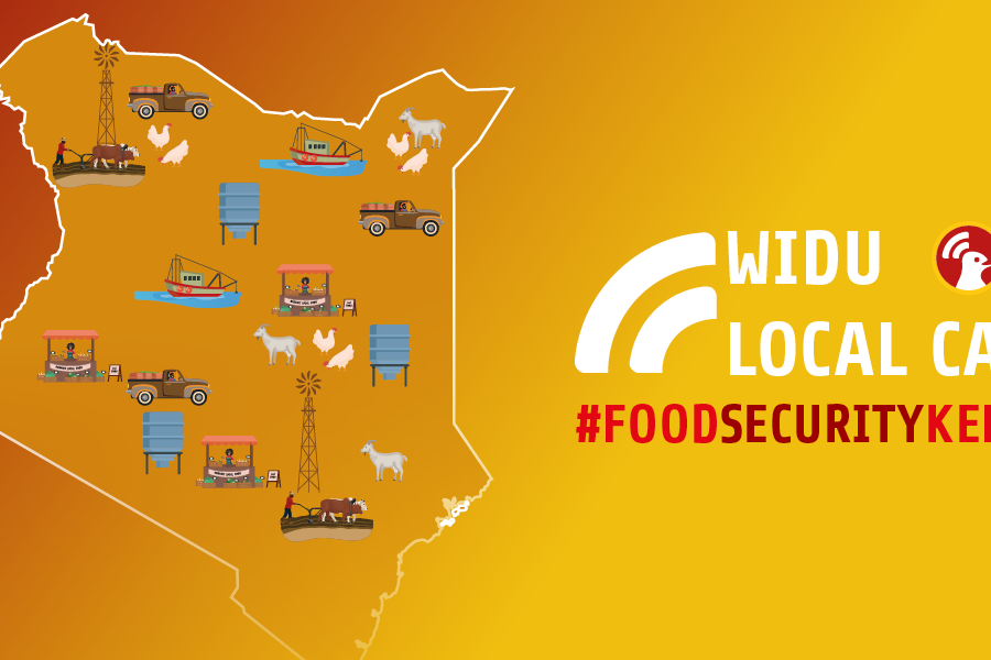 WIDU Website Header_FoodSecurity KE 2023_InfoSession