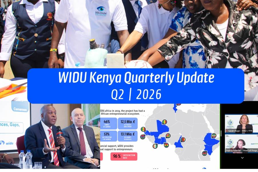WIDU.africa in Kenya | New newsmailing available now!