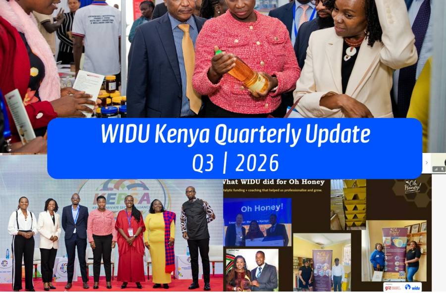 Visual announcing publication of WIDU Kenya Quarterly Update Q3 2026