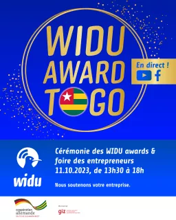 WIDU Award Togo Cérémonie 