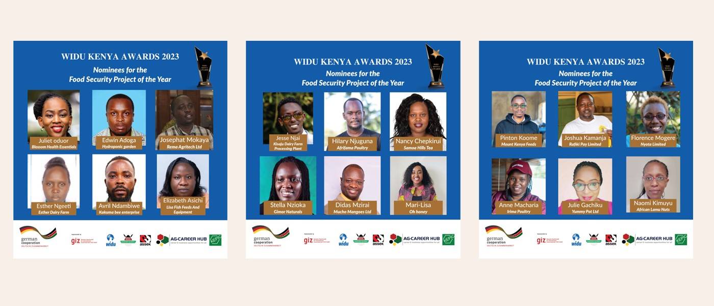 All Nominees for the Food Security Project of the Year WIDU Kenya Awards 2023