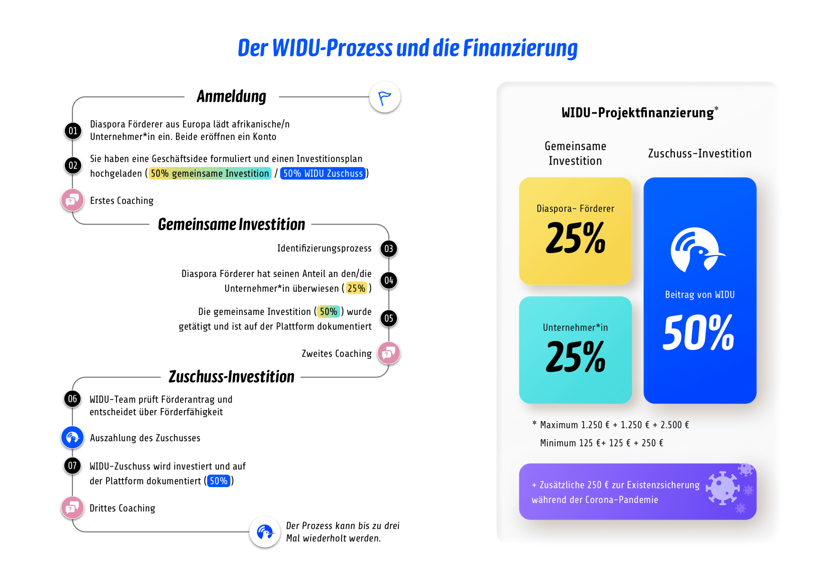 WIDU process and financing - DE