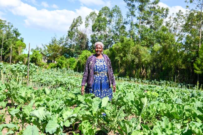 Grace Wanjiru Mitesi