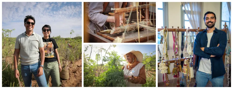 patchwork of four photos of entrepreneurs in agriculture and crafts